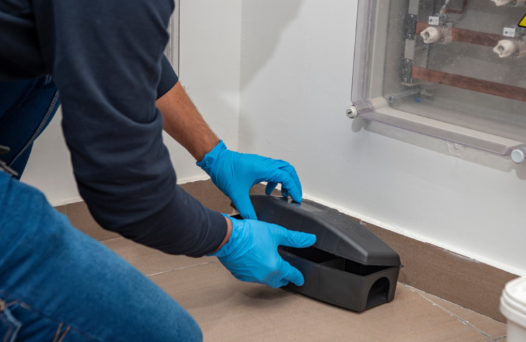 The Importance of Professional Pest Control in Chelmsford